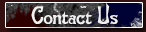 contact.us.btn